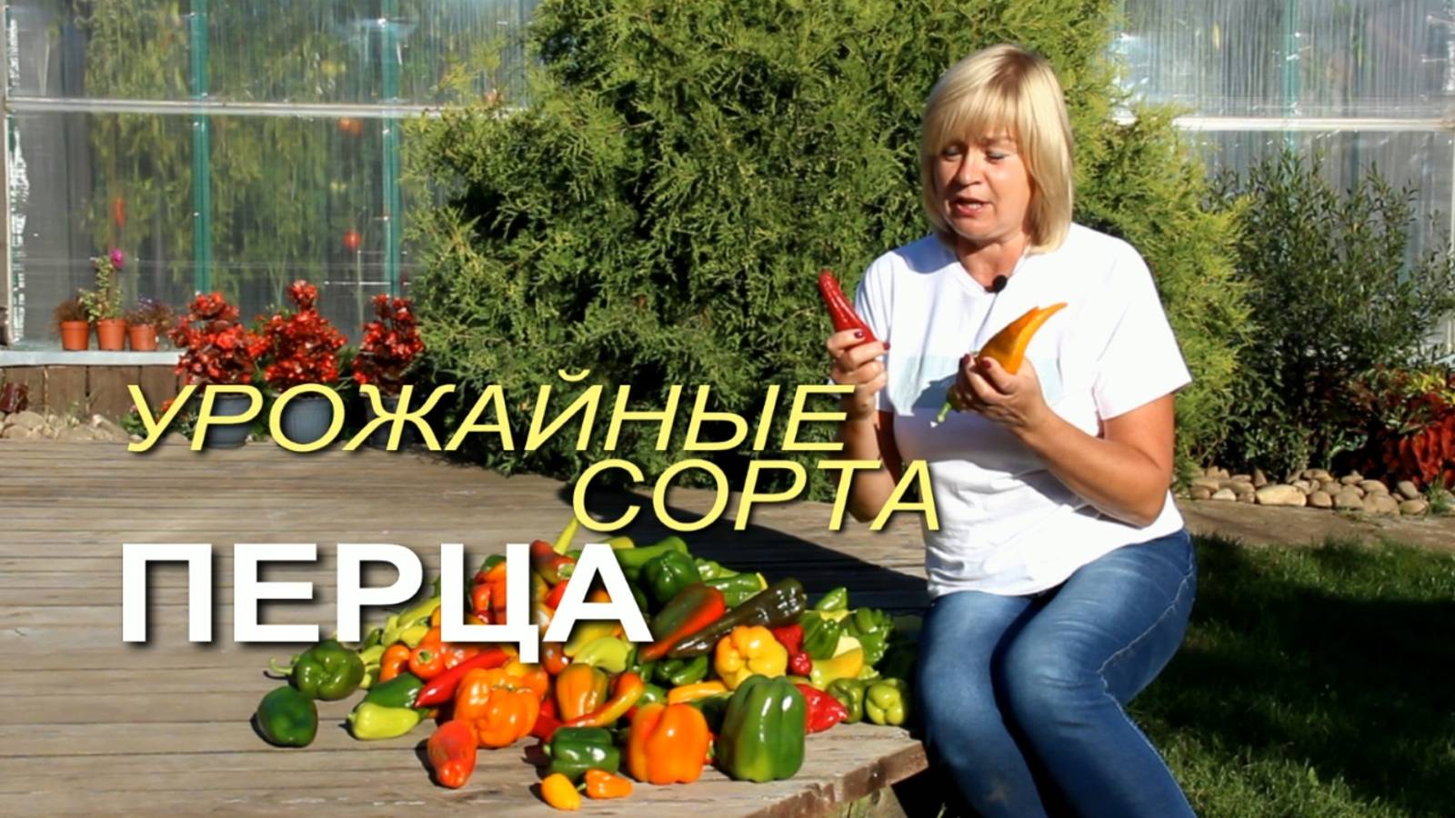 Обзор УРОЖАЙНЫХ сортов сладкого ПЕРЦА! Советы от ЗЕЛЕНОГО ОГОРОДА!