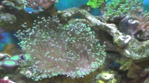 Часть 40. Закрываю проект "Мое первое море"