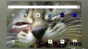 как скачать кламси  NetWing на стандофф2🙀