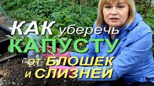 ПОСЛЕ ЭТОГО ВРЕДИТЕЛИ ОБОЙДУТ КАПУСТУ СТОРОНОЙ! Советы от ЗЕЛЕНОГО ОГОРОДА!