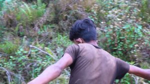 Traditional Farming system of rural Nepal