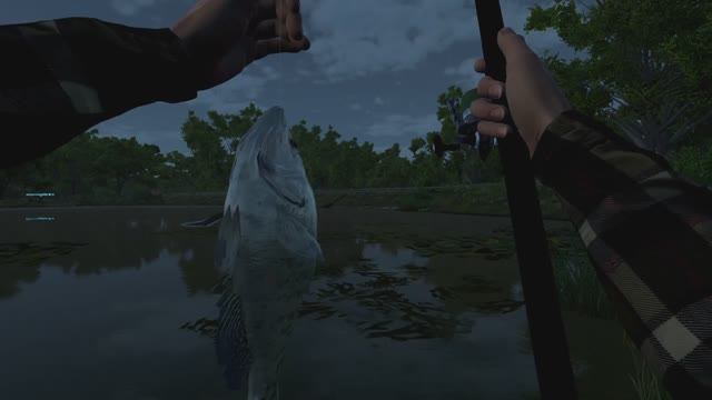 #FISHING_video FishingPlanet #1