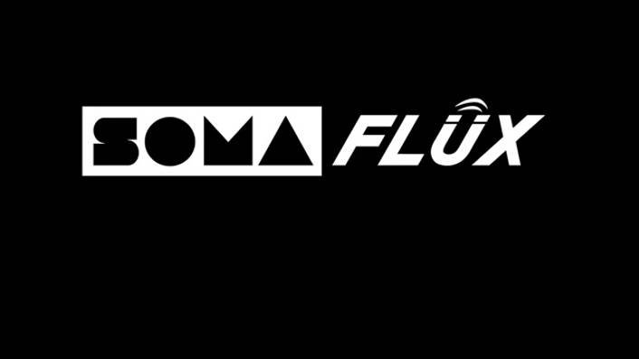 FLUX Демонстрация инструмента 08.11.2024 г.