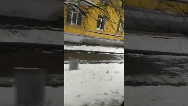 В Дубне запущен автобус-аквариум.