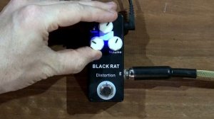 It's a BUDGET RAT - Mosky Black Rat Distortion