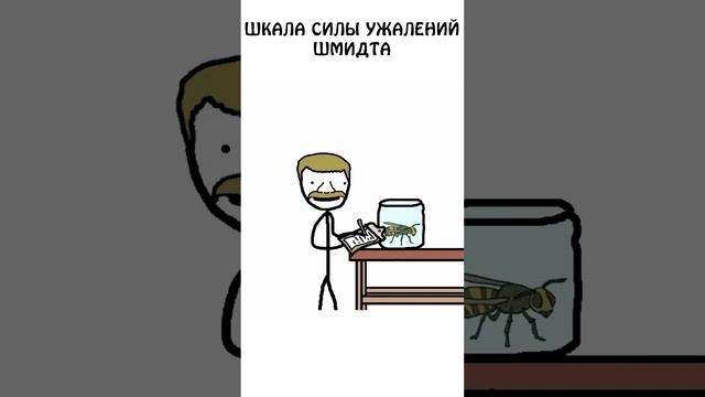 Шкала силы ужалений Шмидта