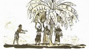 Трое и один