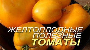 Шесть ЖЕЛТОПЛОДНЫХ томатов полезных для здоровья.