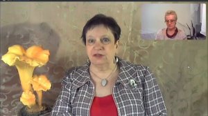"Верите ли вы в Лешего?... и другое." . Ответы на вопросы. 11 выпуск.