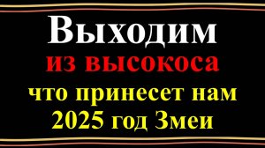 Выходим из высокоса: что принесет нам 2025 год Змеи. Деньги и работа в год зеленой деревянной змеи.