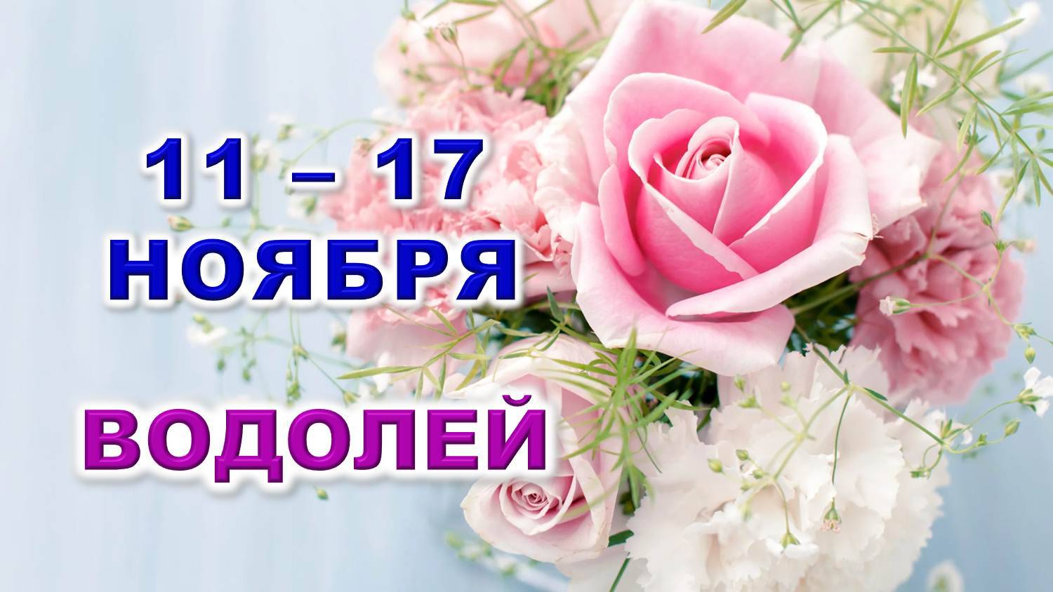 ♒ ВОДОЛЕЙ. 🌸 С 11 по 17 НОЯБРЯ 2024 г. 🩷 Таро-прогноз 💎