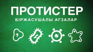 тірі ағзалардың патшалығы, систематикасы