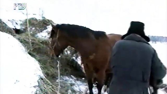 НА ОТШИБЕ. РЕЖ. В. КУЛИКОВА. ОПЕРАТОР А.ПЕРЕВОЗЧИКОВ. Alex Perevoz 1995