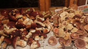 Дневник грибника 30 августа 2016.