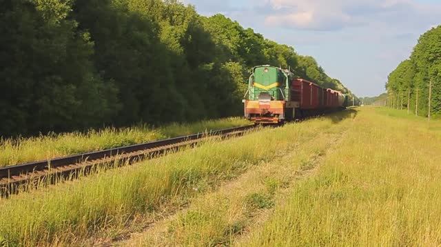 ЧМЭ3-4906 (БЧ, ТЧ-7 Брест) со сборным поездом в сторону Бреста