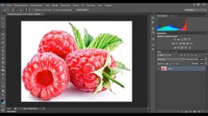 КАК скопировать объект на новый слой