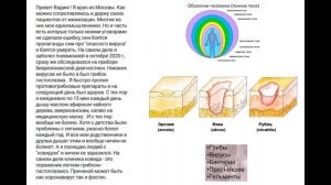 16.8. Химический ожог