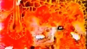 Лимфоциты и онкоклетки раковые клетки)