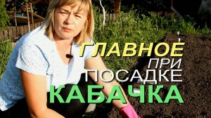 КАК ПРАВИЛЬНО ЗАПРАВИТЬ ЛУНКУ, чтобы УРОЖАЙ КАБАЧКОВ ВАС ПОРАДОВАЛ! Советы от ЗЕЛЕНОГО ОГОРОДА!