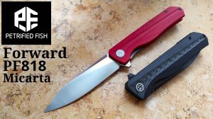 ✅ NEW Variant Petrified Fish Forward PF818 Micarta