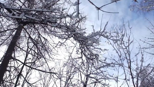 Нескучный сад зимним днем смотреть онлайн