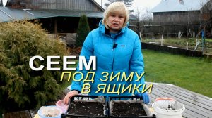 Посев под зиму ЛУКА-СЕВКА и БУЛЬБОЧЕК ЧЕСНОКА! Советы от ЗЕЛЕНОГО ОГОРОДА!