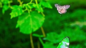 Интересные истории из жизни - Слушать рассказ