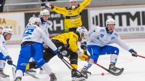 «BrobergSöderhamn»-«IFK Vänersborg» 8 Nov Elitserien 2024-25