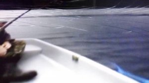 Бомбическая рыбалка на озере Валдая.
Щука бьётся в лидеры рыбаков.