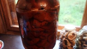 Идея для хранения грибов! Кег из-под пива.