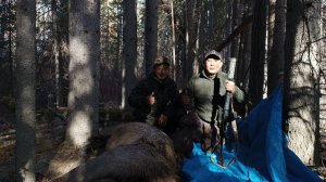 3 серия Охота на изюбря на реву Чаринский национальный наслег