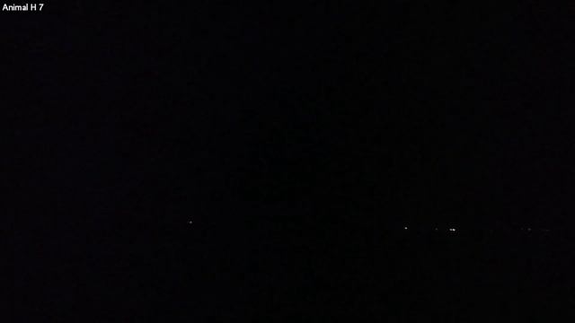 Heavy rains and storms have caused the nest and egg of innocent bird to fall into the water.🐦🐦😢 смотреть онлайн