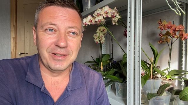 ДУШЕЩИПАТЕЛЬНАЯ ИСТОРИЯ ВАГОНЧИКА на задах у ПАПЫ