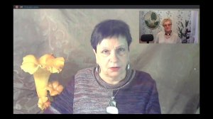 Отвечают Грибоведы. Выпуск №5 из цикла "Вопросы и ответы"