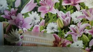 Обзор семян цветов на 2020 год.