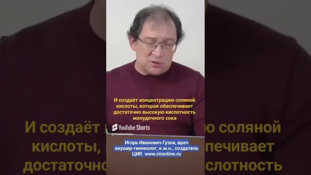 Протонная помпа и пищеварение в желудке. Что делает протонная помпа. И.И. Гузов.