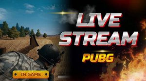 Pubg Live Stream