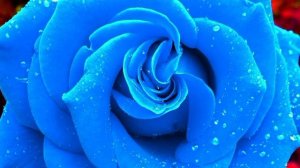 Очистка Истинного Я ( дух человека) - сеанс Кундалини рейки