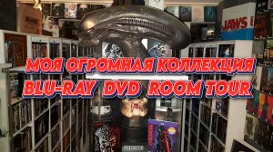 МОЯ ОГРОМНАЯ КОЛЛЕКЦИЯ BLU-RAY, DVD, ROOM TOUR (RUS VOICE)