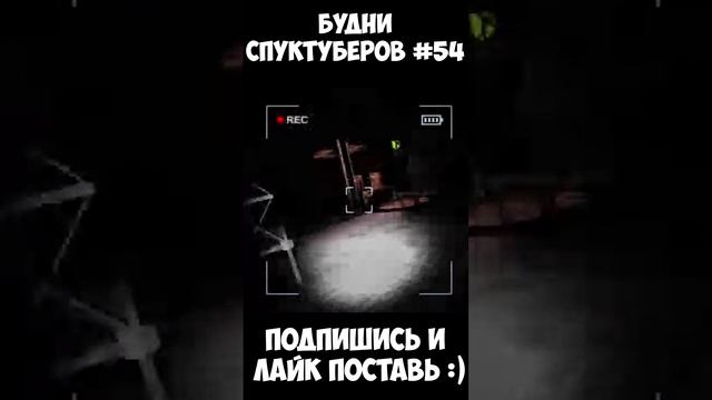 Будни спуктуберов #54 | Content Warning #contentwarning #gaming #игры #будни #games #game