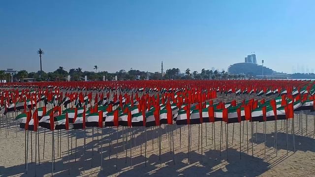 Дубай. Что за флаги на пляже Jumeirah beach? смотреть онлайн