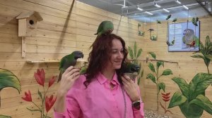 Юля уже носит мои вещи / Дом попугаев / Шоппинг / Магазин порядок.