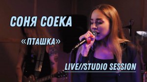 Соня Соека - пташка Live (Studio session)