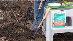 ПОДКОРМИТЕ ЗЕМЛЯНИКУ ТАК! Удобрения для клубники весной