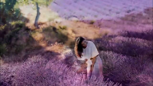 Прованс - Фотограф Алла Пугачева смотреть онлайн