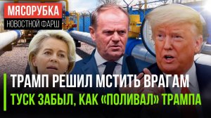 Месть Трампа будет ужасной || В Польше «не помнят» как гнобили Трампа | ЕС решил искать дешёвый газ