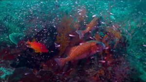 Лучшая музыка видео ВОКАЛ ТРАНС ХАУС!!! 15