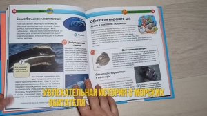 детская энциклопедия "Познакомься это... море"