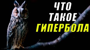 Что такое гипербола