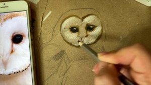 Пошаговый урок рисования цветными карандашами «Совушка-сипуха"